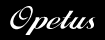 Opetus